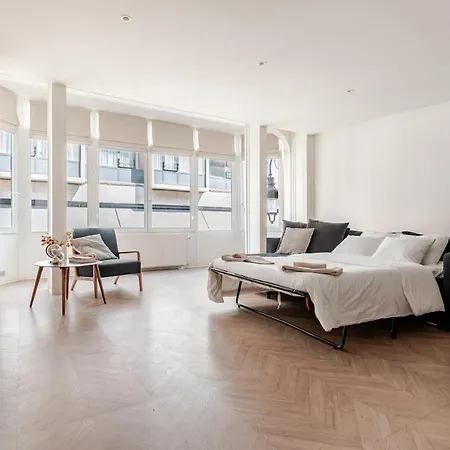 Center Spacious And * Bruselas
