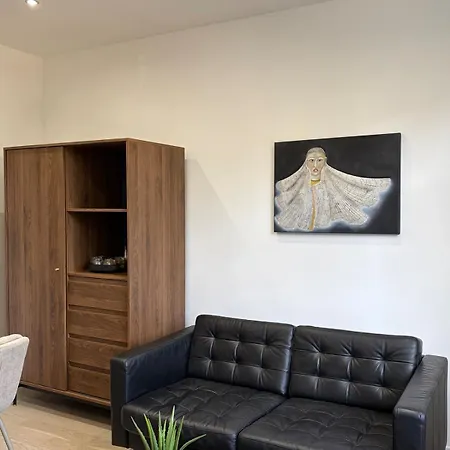 Luxurious And Cozy Flat Near Atomium In Apartment *