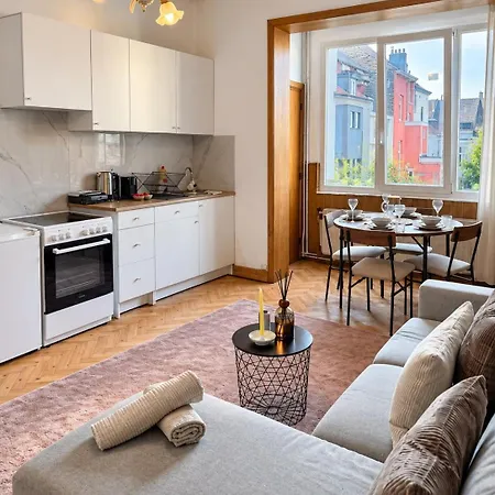 Cozy 1-bedroom Near Public Transport In Brüssel