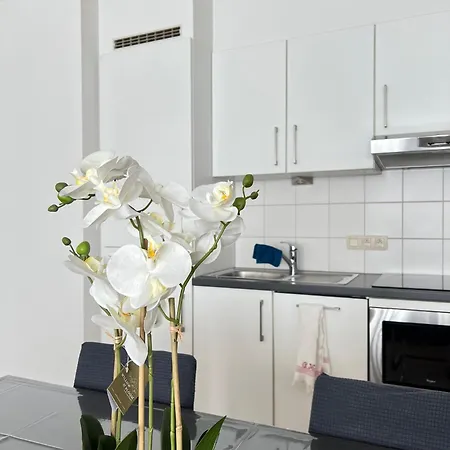 Apartment Cosy In Brüssel