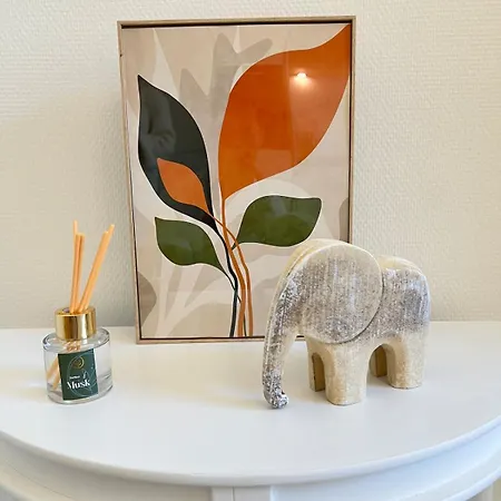 Beautiful Cosy Flat In Perfect Location * Brüssel