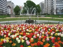 Archimede Apartament Bruksela