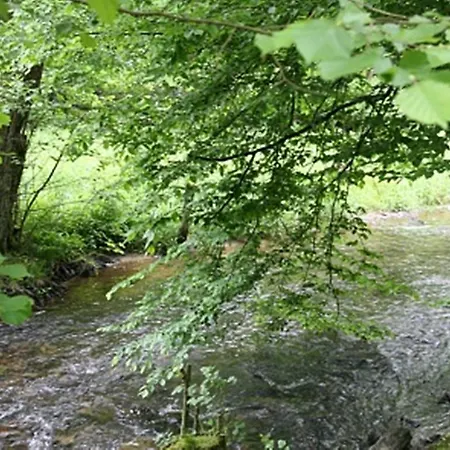 Spacious Chalet With Sauna In Daverdisse Dağ evi *