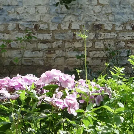 Bed And Garden