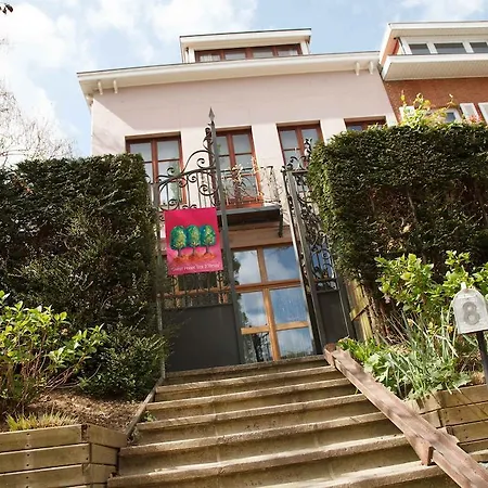 Guest house Les 3 Tilleuls Brussels