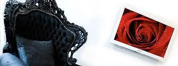 B&B X2브뤼셀 3*