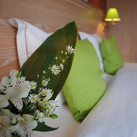 Axl Flathotel Continental 3*