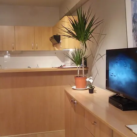 Apartment Eu District *