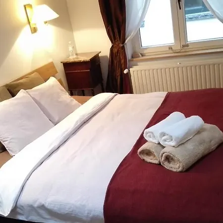 Chien Marin Appartement