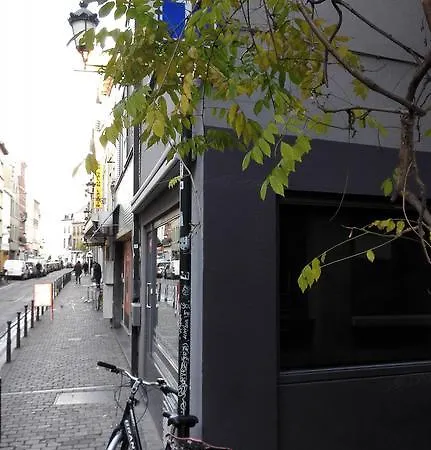 Chien Marin Bruxelles