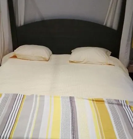 Yellow بروكسل