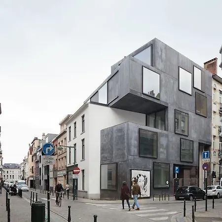 Homestay Teddy Picker Brussels