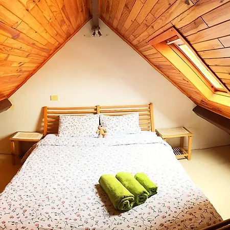 Ambiorix Birch House