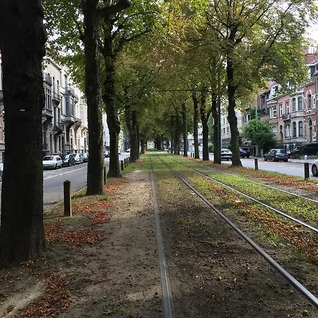 Molière Bruxelles