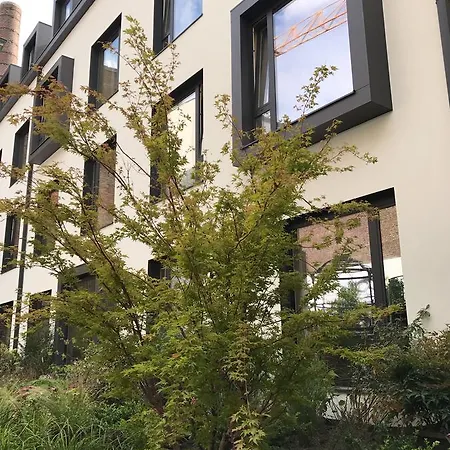 Latroupe Jardin Secret Hotel Saint-Gilles