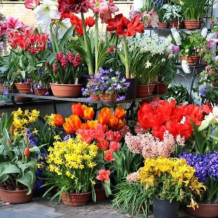 1 Bedroom Near Louise/chatelain * Brussels