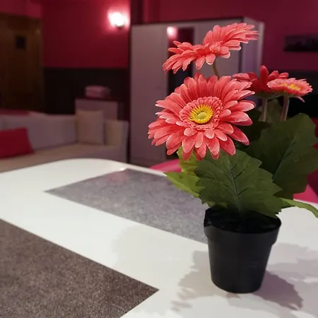 Hotel apartamentowy Bara Midi Bruksela