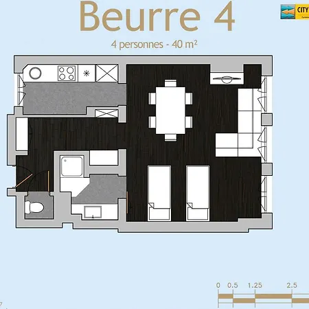 Center Grand Place شقة