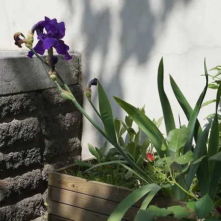 Bed & Breakfast Botanique Brussels