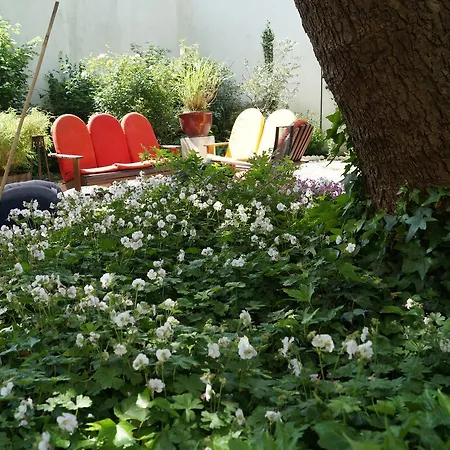 Botanique