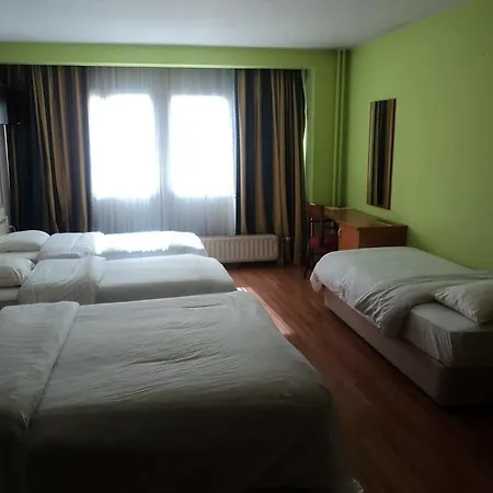 Albert Hotel