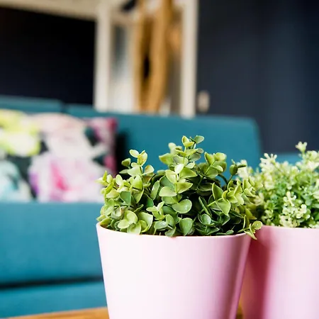 アパート Smartflats - Gaite ブリュッセル