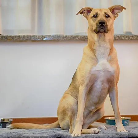 Numa Royal Galleries 4* Брюссель