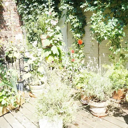 The Captaincy ホテル 3*