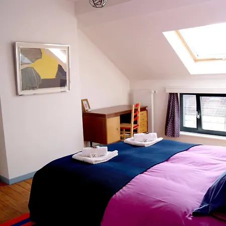 B&B Serpentin 2* Ixelles