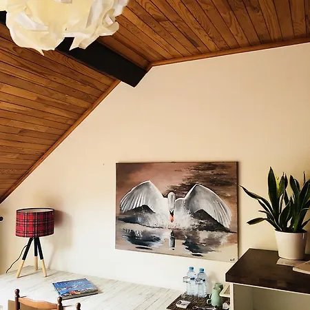 Ambiorix Birch House Brussels