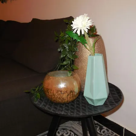 Central Flats Appartement *