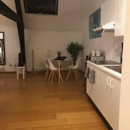 Cityzen Colline Apartman Brüsszel