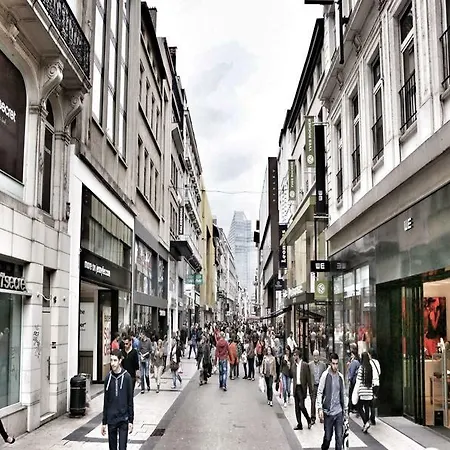 Apartman La Monnaie *