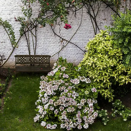 Schuman Square - Eu Apartman *