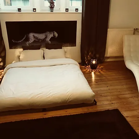 Chic Cocoon