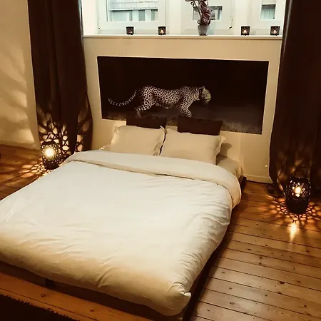 Chic Cocoon
