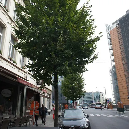 Berlaymont Ohy * Brussel