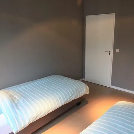 Spacious Design In * Brussels