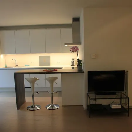 Apartment Spacious Design In Brussels