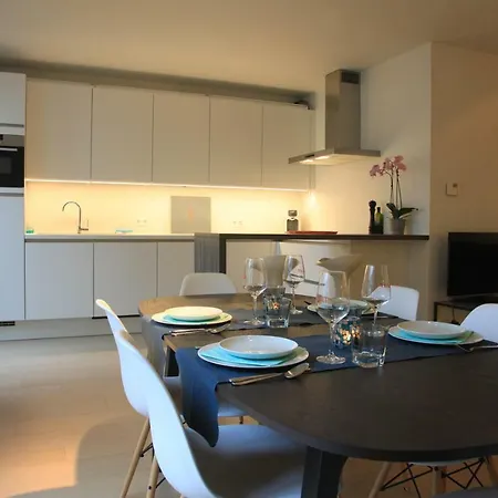 Apartment Spacious Design In Brussels