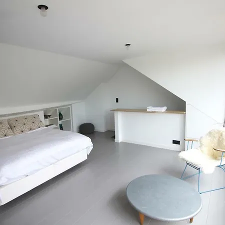 Canopee Guesthouse Bed & Breakfast Ixelles