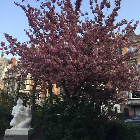 Appartement View Bruxelles