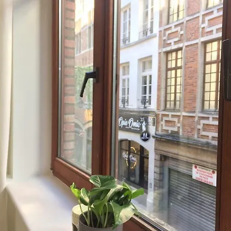Heart Of Bxl: Feel Cosy At Grand-place Brussel