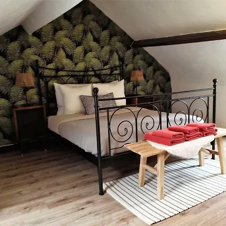 Apartman Jaspar *
