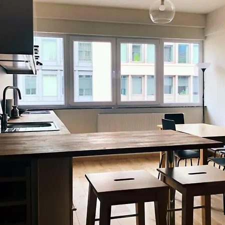 Renovated One Bedroom Schuman Area Apartment