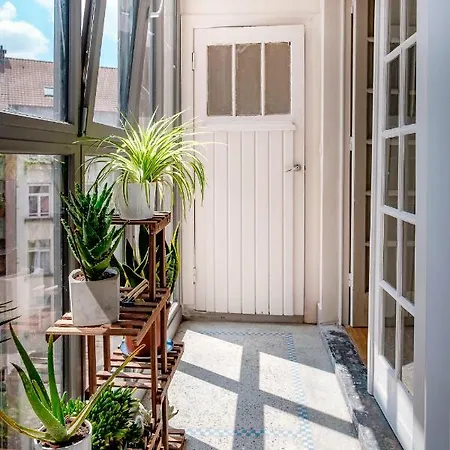 Brand New In A Master's House In Downtown *