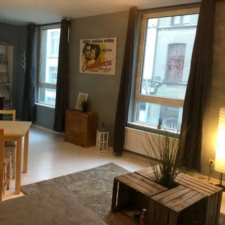 Cosy Barriere/parvis St Gilles Apartament Bruksela