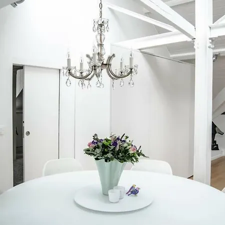 Ultra Luxurious Loft 220m2 Centre With Jacuzzi * Brüssel