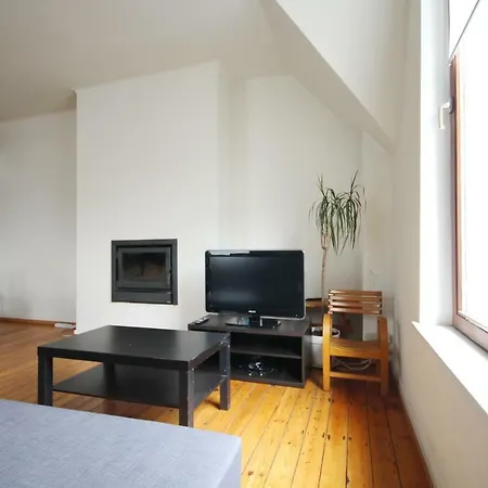 公寓 Large Duplex Chatelain