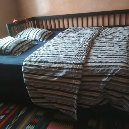 Guests Jdeba * Βρυξέλλες